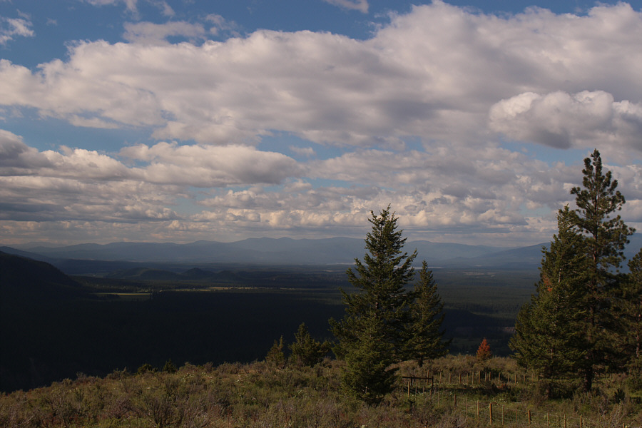 An interesting area that I shall explore more in the future...