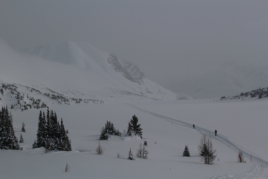 Don't ever go into the mist!