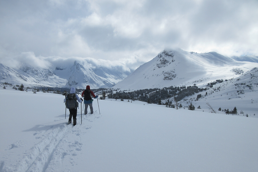 Yeah, I don't feel like breaking trail today...