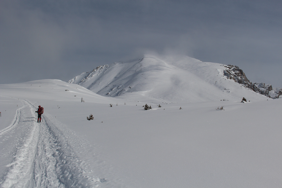 Great choice for a ski' n' scramble!