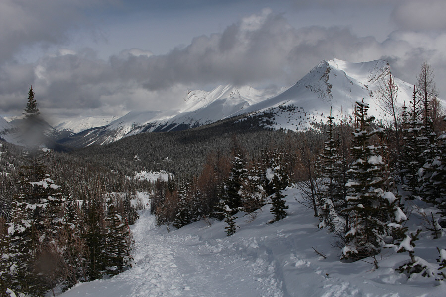 Can you spot Zosia way ahead on the trail?