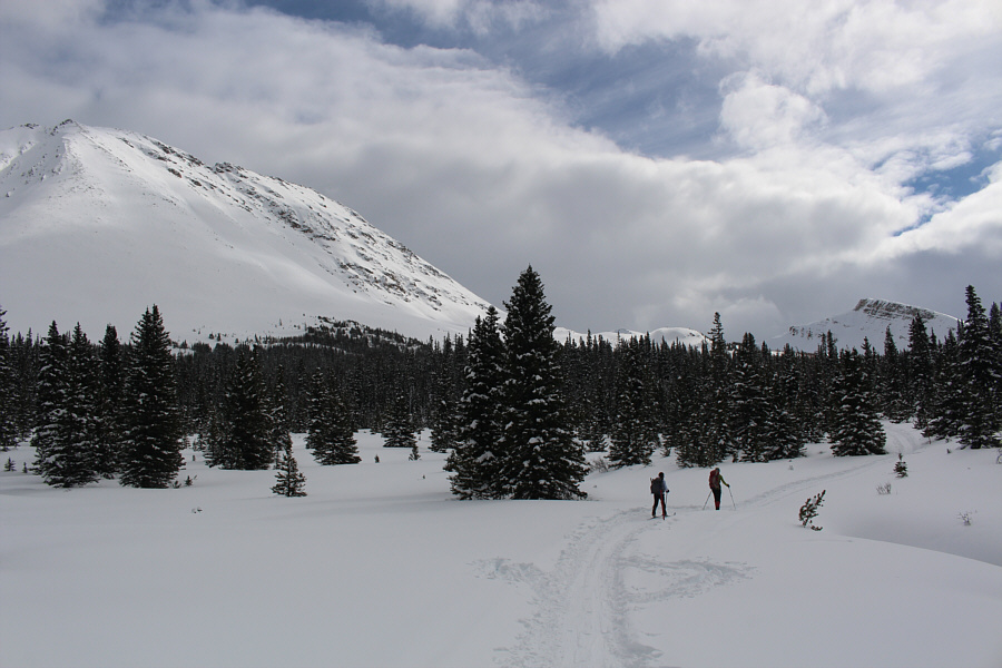 Still going strong here!