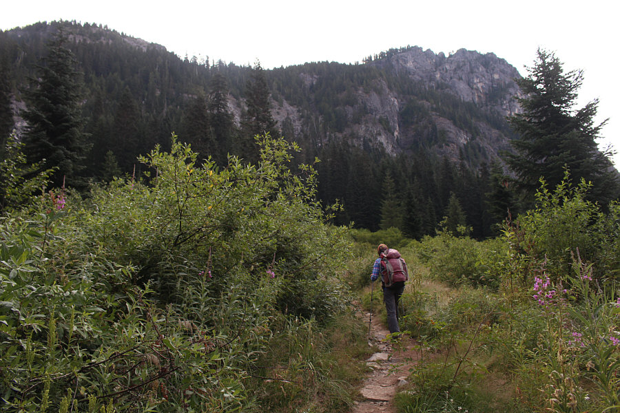 Flattest part of the trail right here. Get ready to climb!