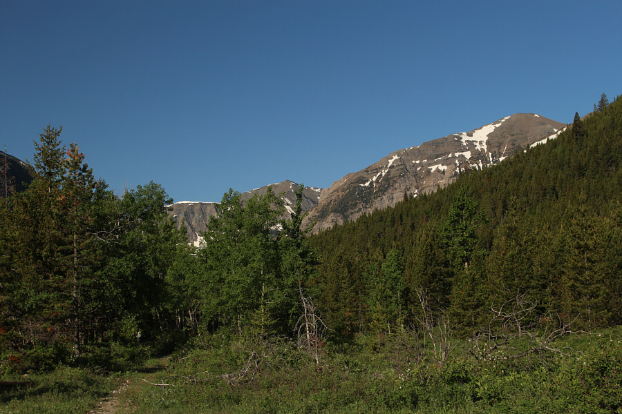 Looks pretty innocuous from here...