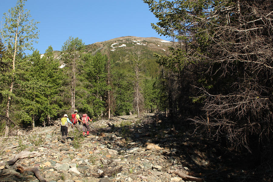 This drainage would be a sight for sore eyes much later in the day!