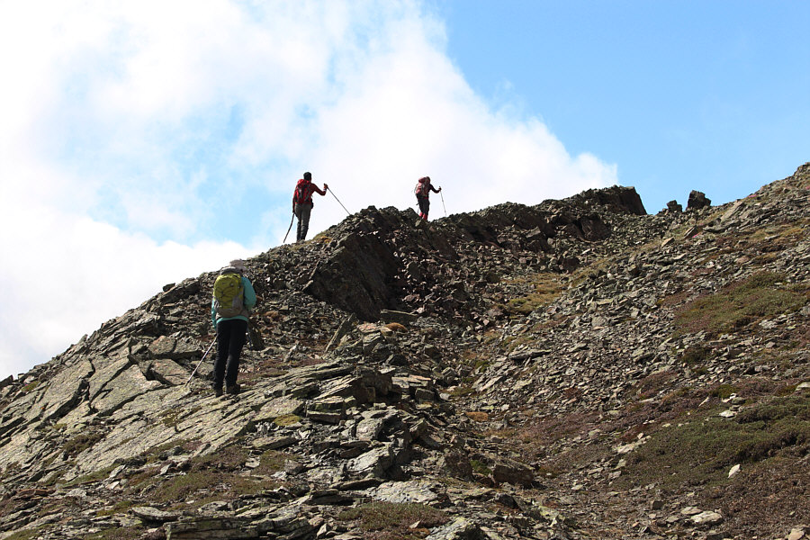 Don't get excited just yet; we still have a lot of ups and downs left!