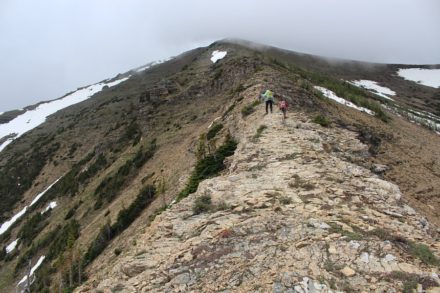 Doesn't look so steep anymore!