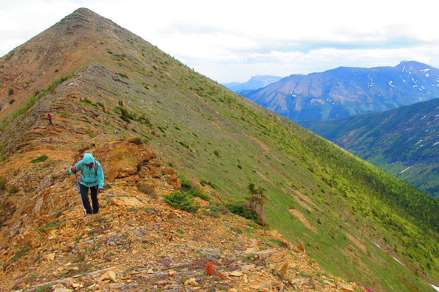 You could almost consider it a separate summit...