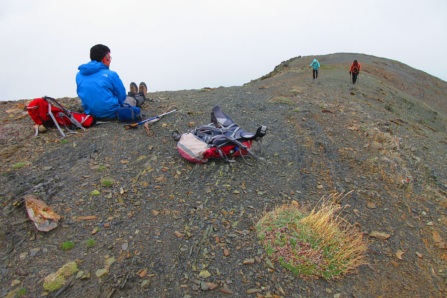 Wanna race to the top, Asieh?