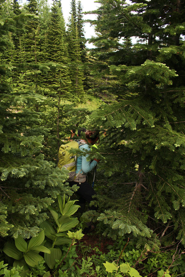 Still soul-sucking...