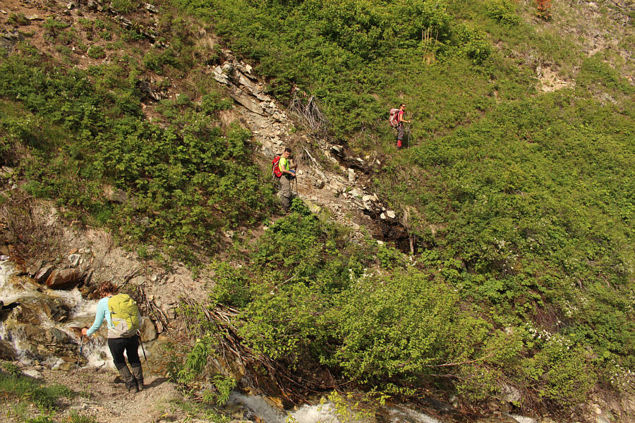 Oh well, better than climbing over a lot of deadfall...