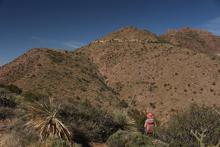 Believe it or not, Alda is actually visible up ahead beside a big bush. Can you spot her?