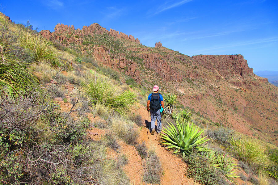 Mind the agave leaves--they're very sharp!
