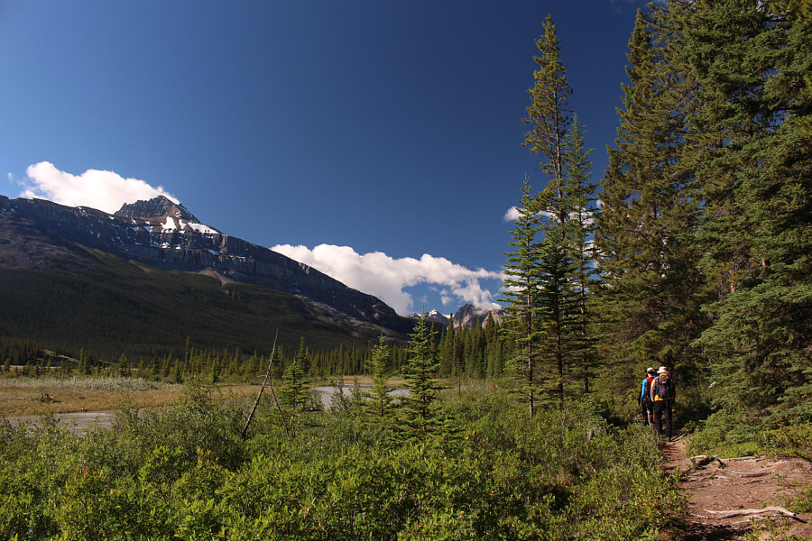 Start keeping your eyes open here for flagging!