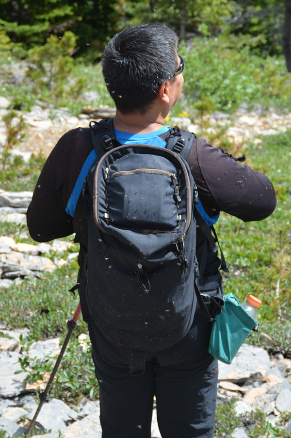 I'm still itchy as I write this!