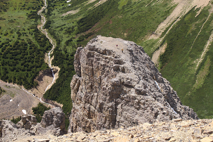 I think they want to scramble some more!