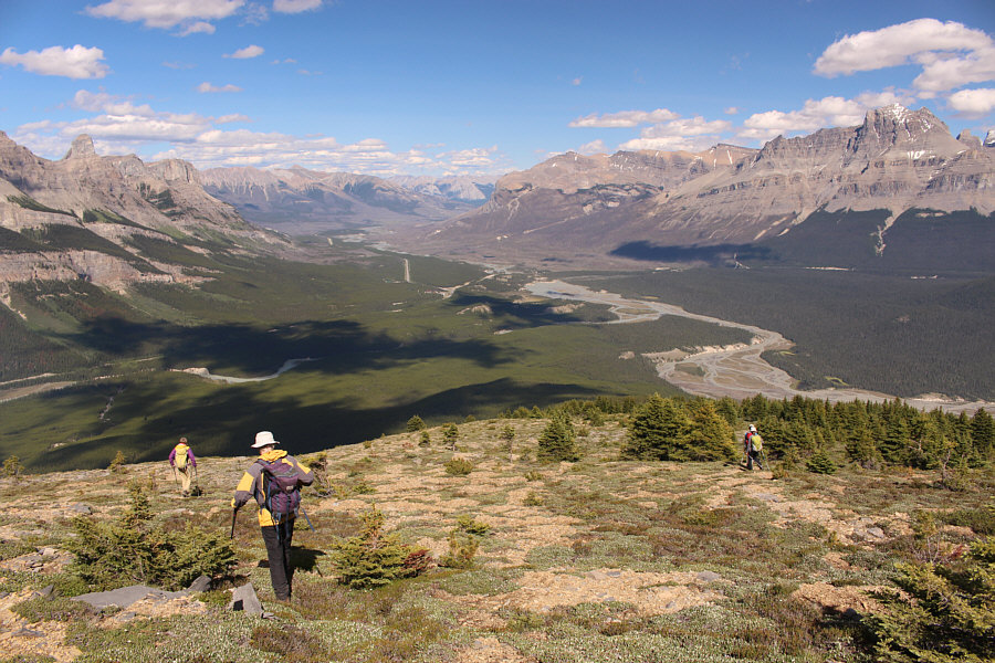 And getting harassed again by mosquitoes!