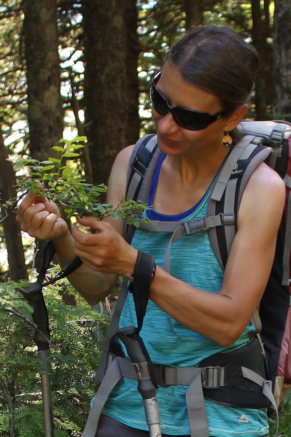 Working to get a purple tongue!