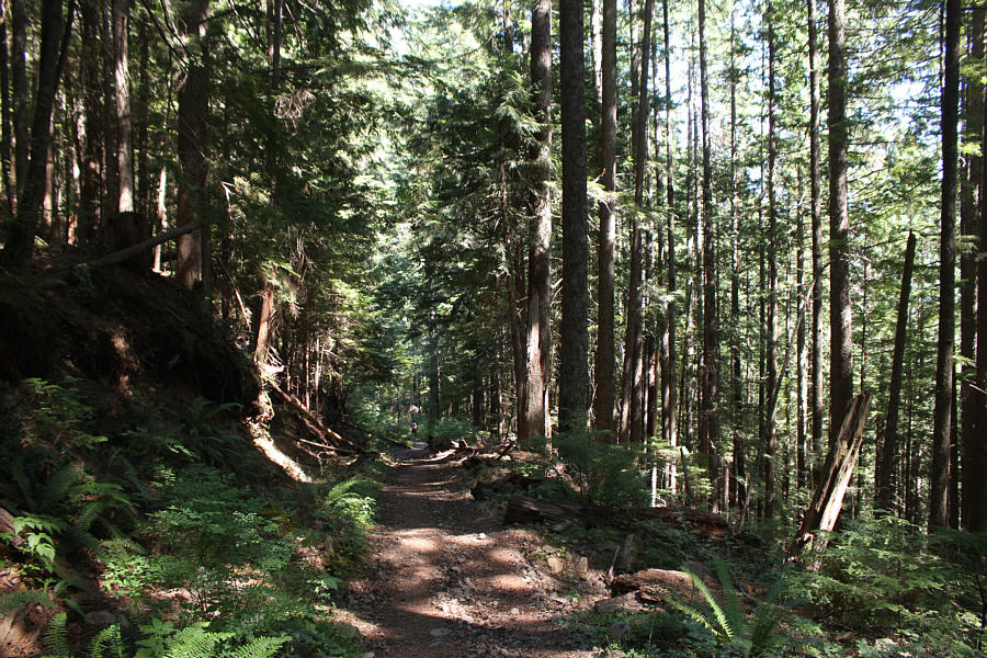 The flowing creeks lower down the mountain were great for cooling us off.