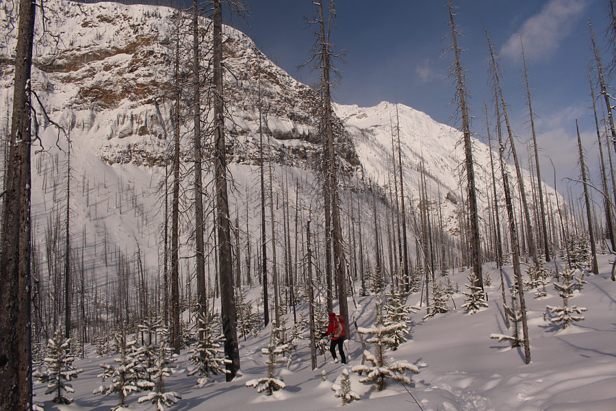 Great views already!