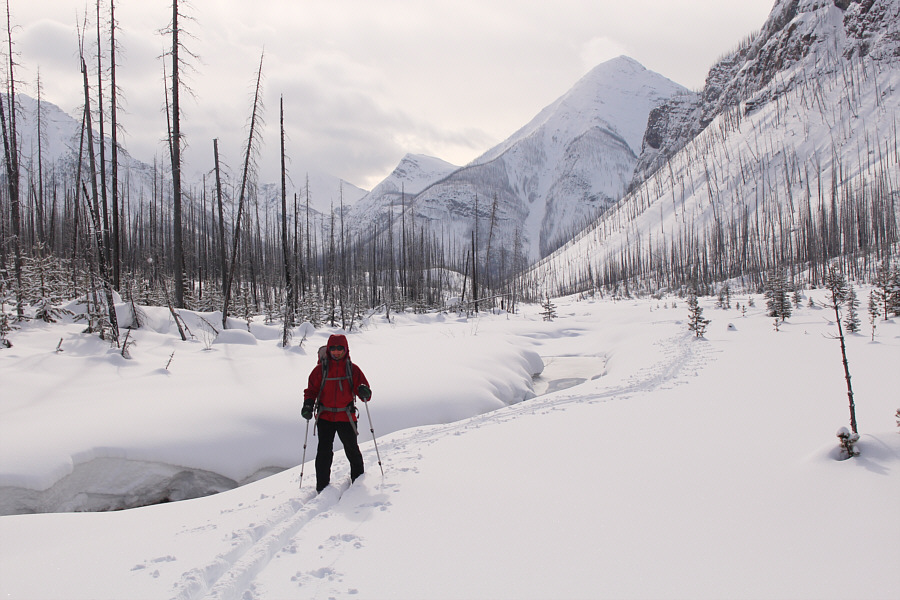 Be careful not to ski into the creek!