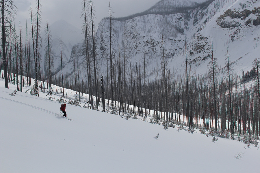 Looking good, Zosia!