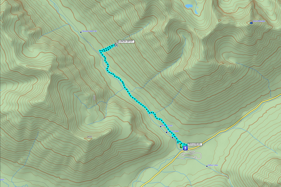 Not particularly ambitious, but a pleasant outing nonetheless!