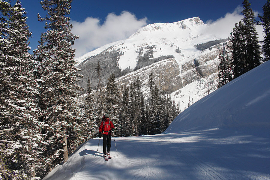 Paying the price of admission...again!