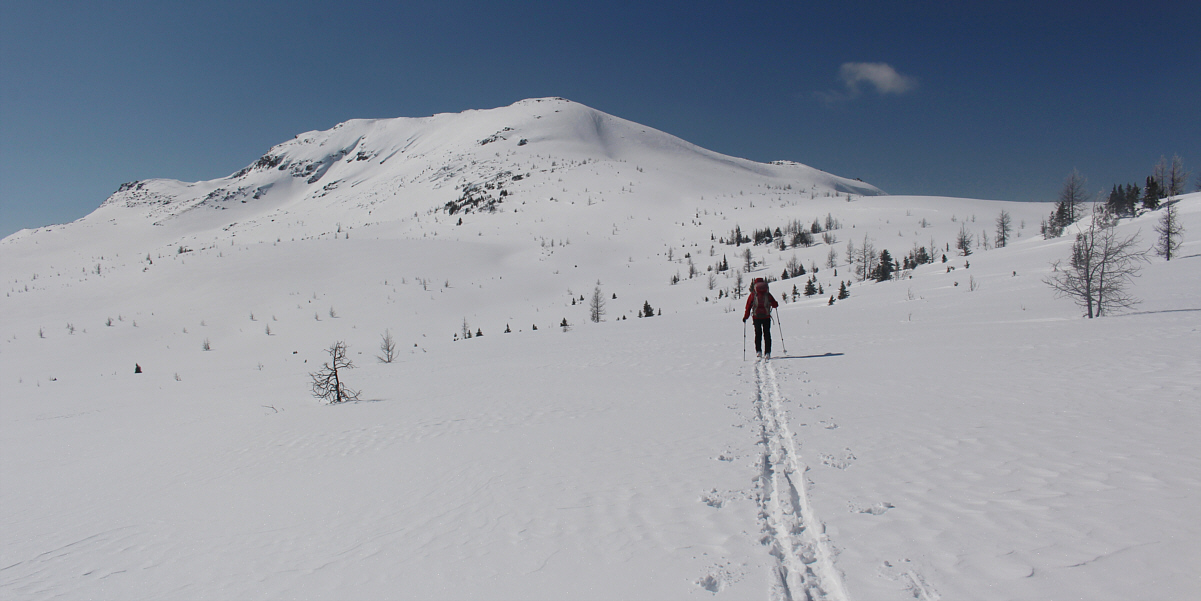 I'm still tickled that we rode the Wawa chairlift to get up here!