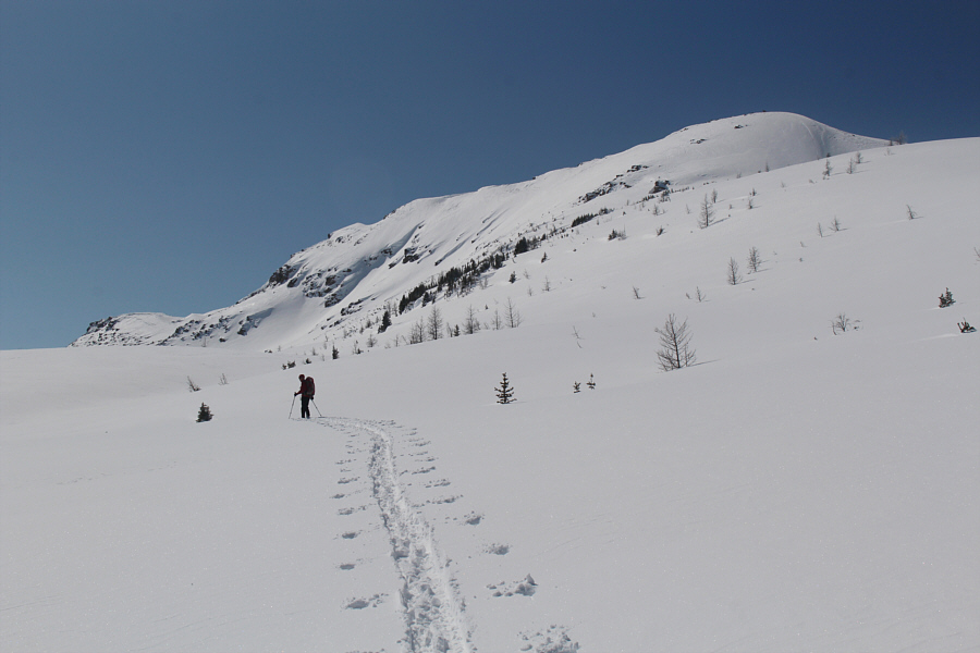 Aim for the big patch of rocks to the right.