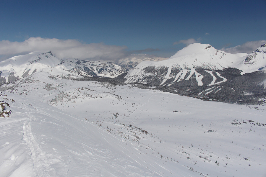 Can you spot Zosia in the photo?