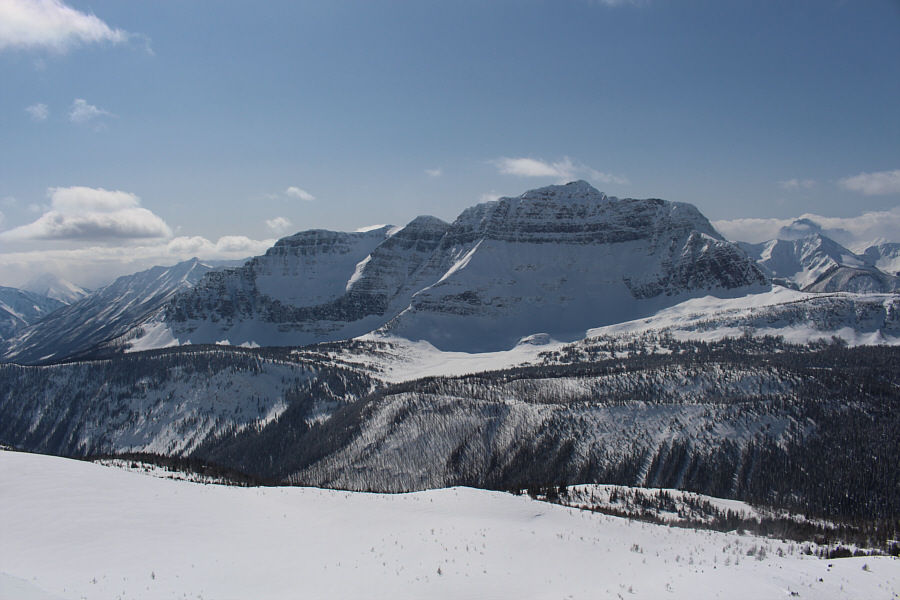 Maybe scramble up this thing this summer?