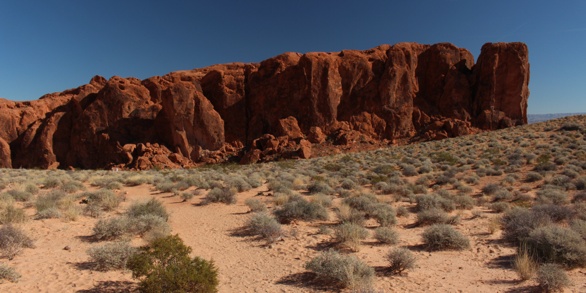 Are you up for the challenge?