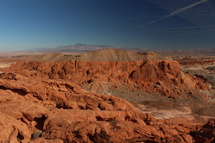 I will definitely be back!