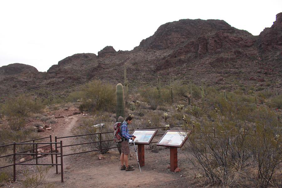 Save some wear and tear on your car and just walk here; it's easy!