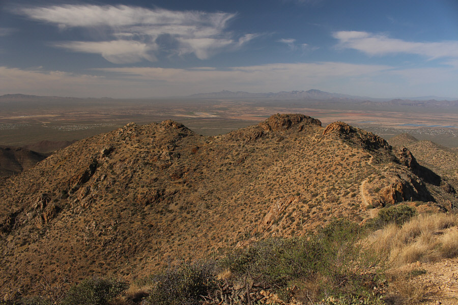 No saguaro cacti up here, surprisingly!