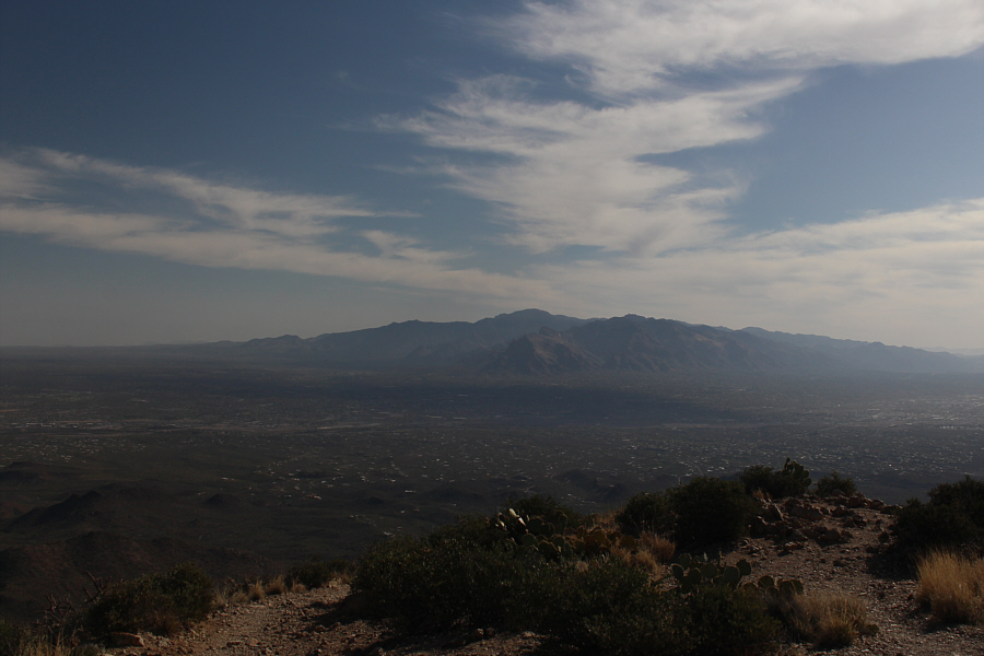 If it wasn't for the brutal heat, I could get used to living here!