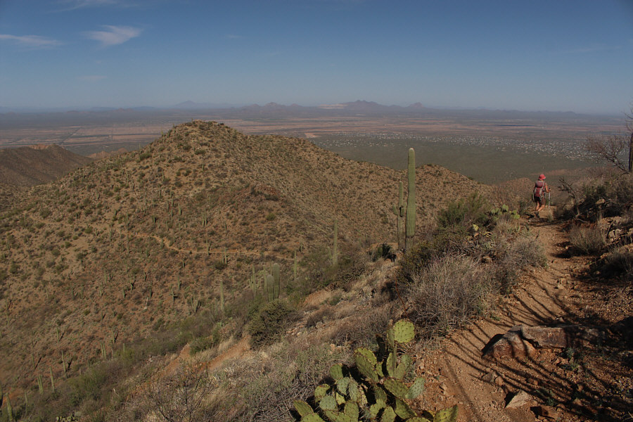 Still not sure why this bump deserves an official name...