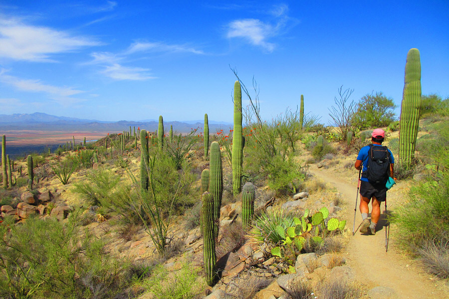 It's starting to get hot...