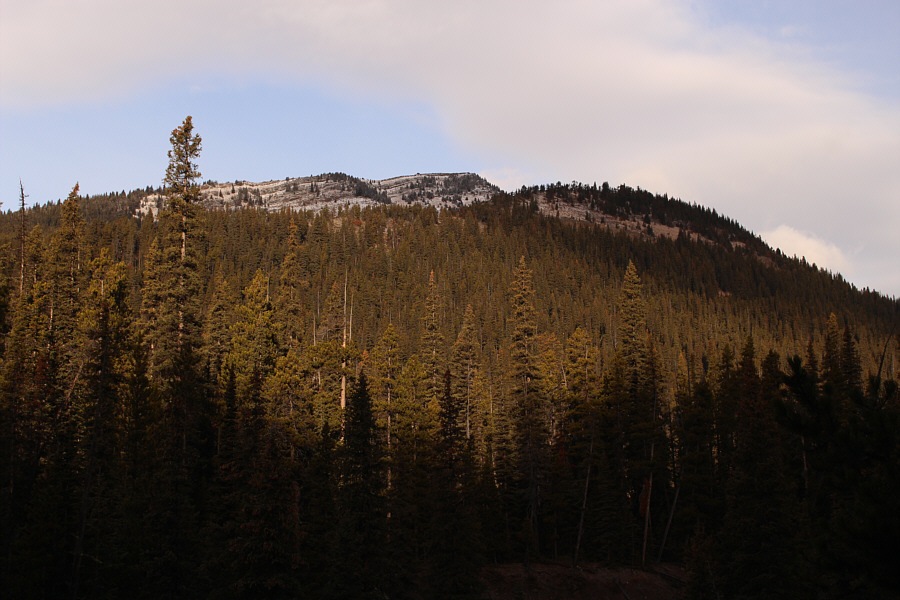 Masochists might want to try going straight up the forested ridge on the right...