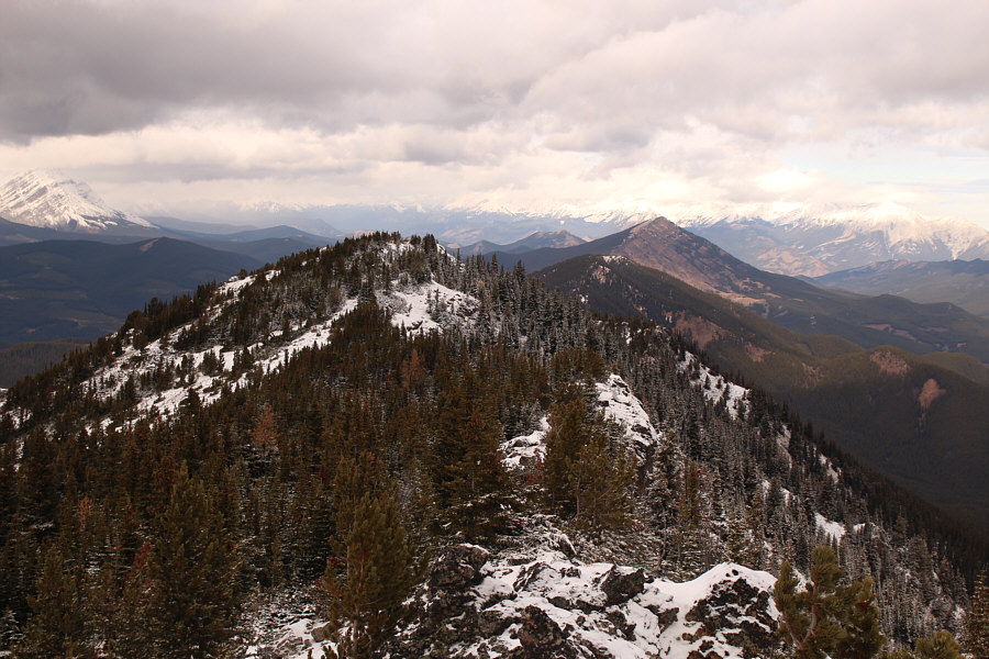 Raspberry Ridge was one of my very first solo hikes.