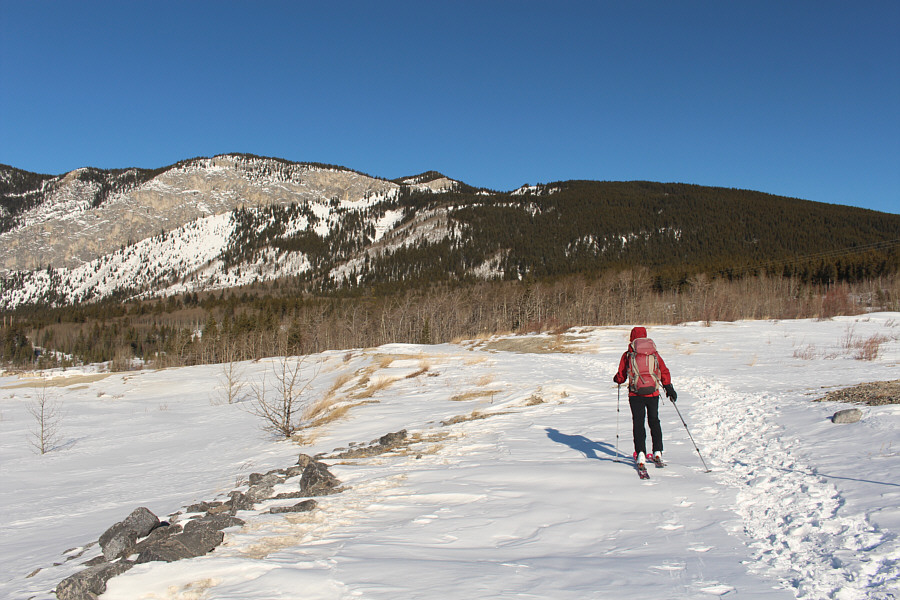 Still doesn't look promising!