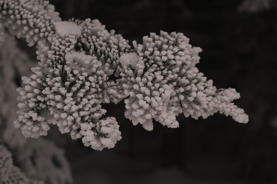 Frosty stuff!