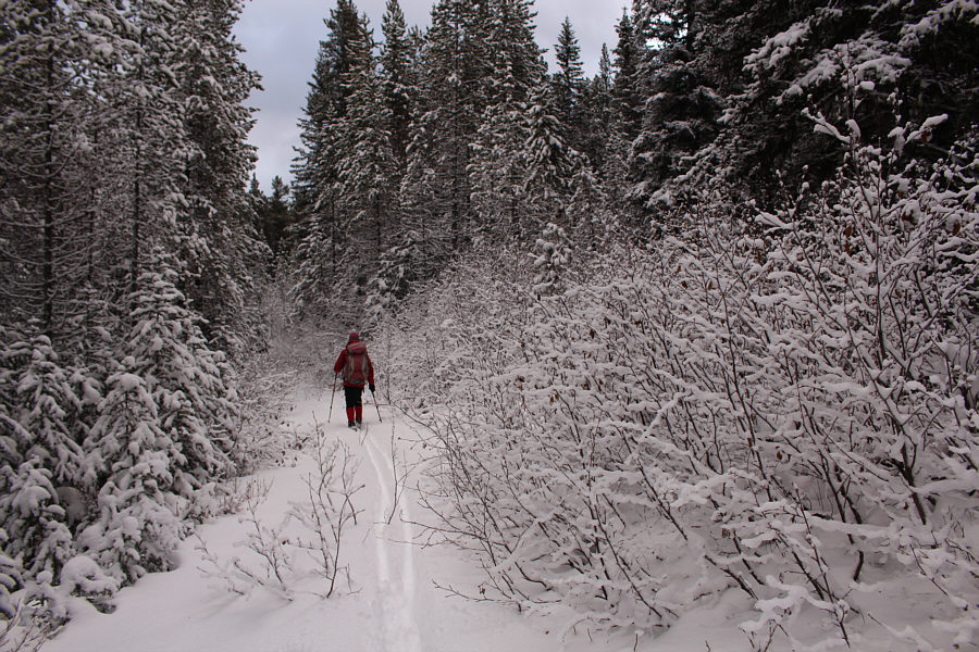 Winter wonderland!