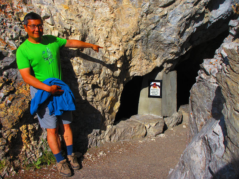 To the Bat Cave!