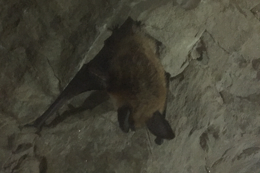Zzzzzzzzzzzzzzzz...