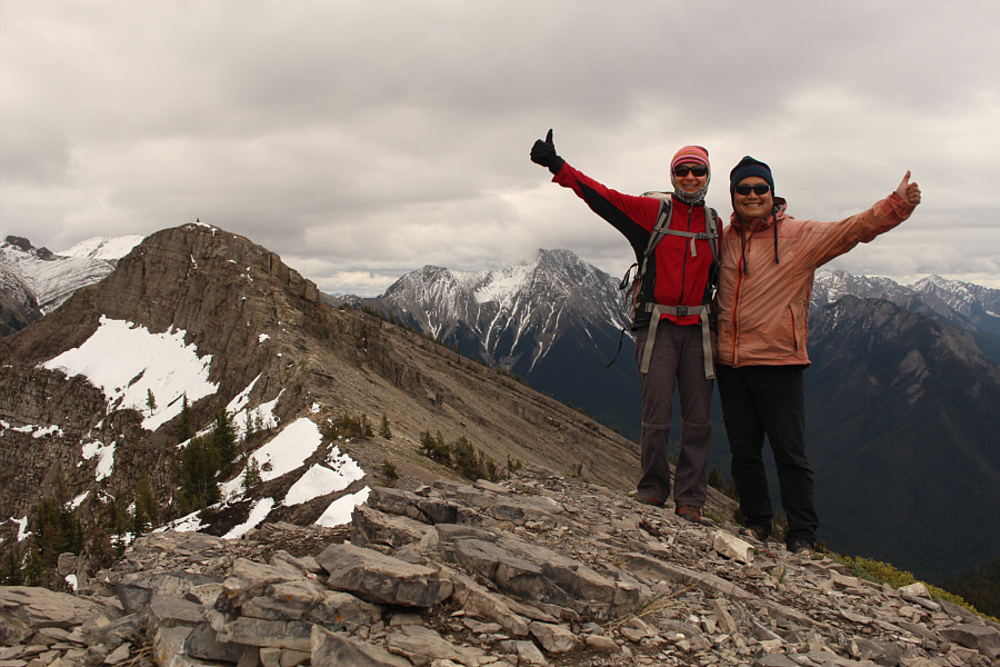 A nice consolation prize if Mount Tegart's summit block is too unnerving for you!