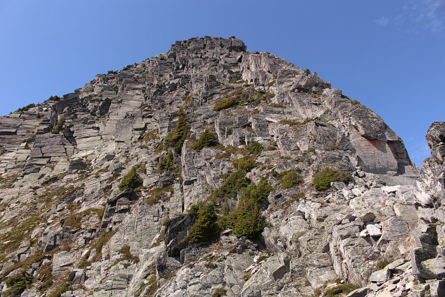 Looks fun, doesn't it?