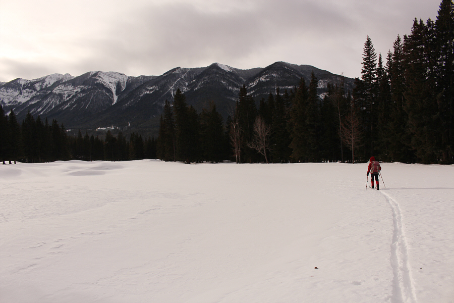 I should climb the real summit of Sulphur Mountain one of these days...