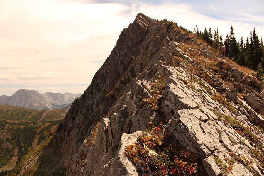 That's a heck of a drop to the left!